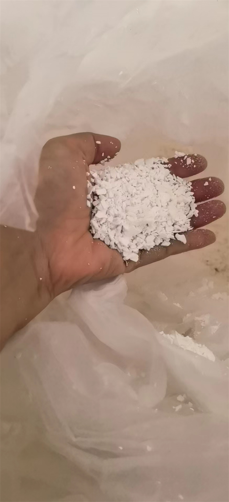 小黄片免费APP下载}