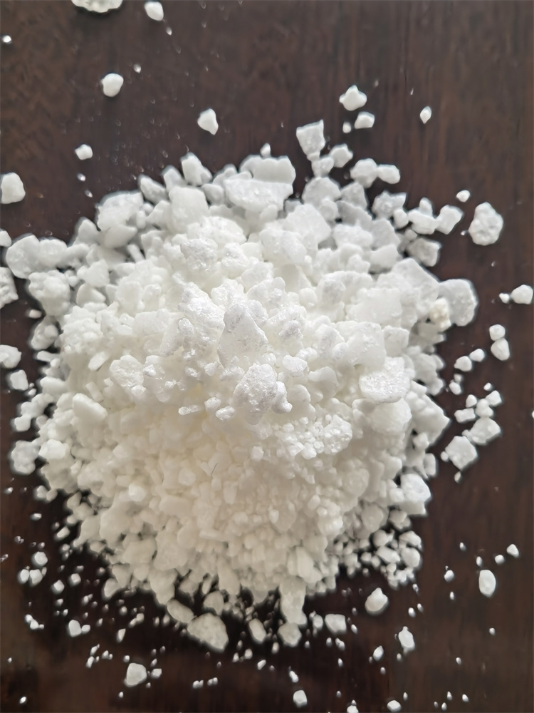 小黄片免费APP下载}