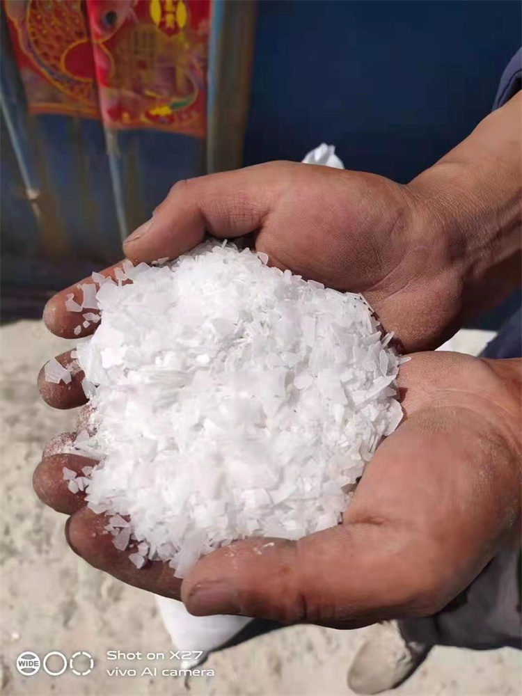 小黄片下载大全}