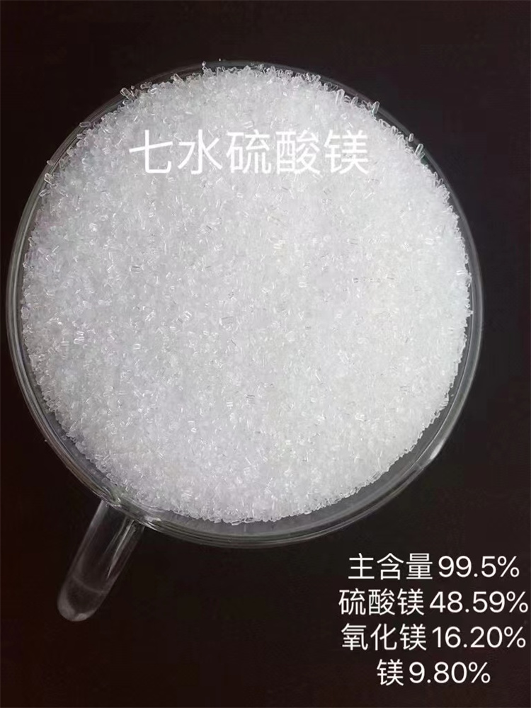 小黄片下载入口}