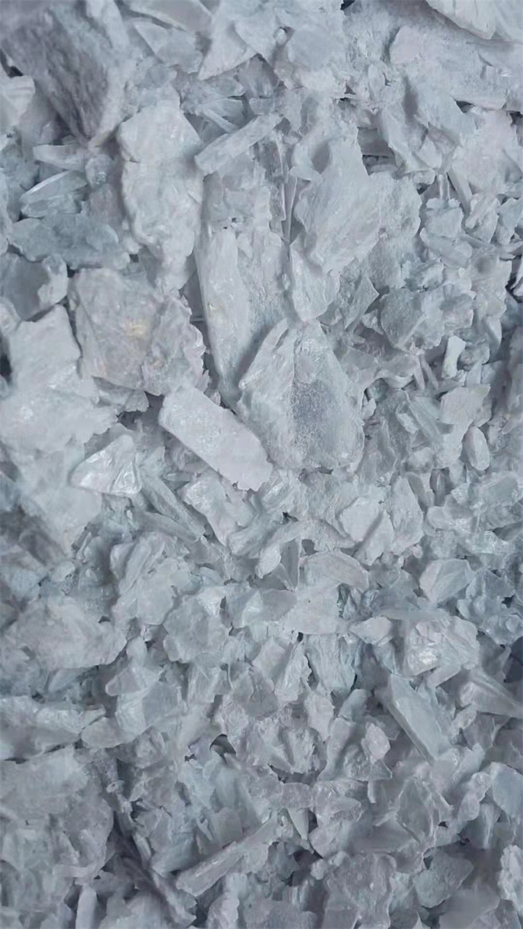 小黄片下载大全}